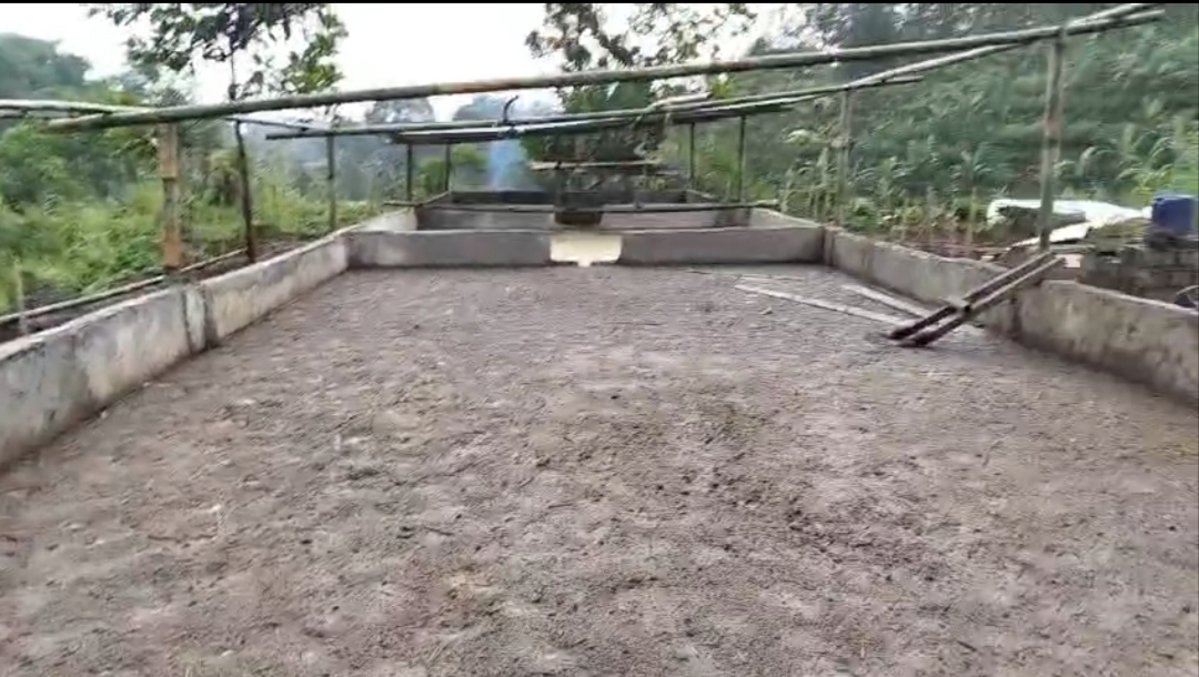 Diduga Abaikan AMDAL, Limbah Kotoran Sapi PT Sura Cemari Lingkungan Warga